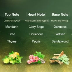 WOW Skin Science Eau De Parfum Darjeeling Dew - Fresh And Zesty All Day Fragrance - Long Lasting & Unisex Perfume New Launch