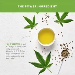 WOW Skin Science Hemp Hair Oil For Dry, Damaged And Chemically Treated Hair - 150ml