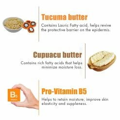 WOW Skin Science Amazon Rainforest Collection Body Butter With Tucuma And Cupuacu Butter - No Paraben, Mineral Oil, Silicones And Color - 200 Ml