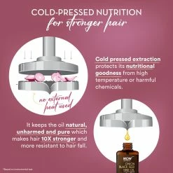 WOW Skin Science Onion Hair Oil For Hair Fall Control - With Black Seed Oil Extracts