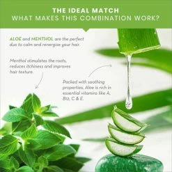 WOW Skin Science Hair Aloe Vera Shampoo For Hydration And Soothing Scalp