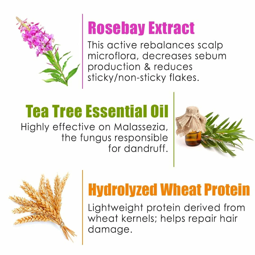 WOW Skin Science Anti-Dandruff Hair Mask