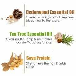 WOW Skin Science Anti Dandruff Shampoo Hair