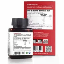 WOW Life Science Apple Cider Vinegar Capsules 500 Mg - 60 Capsules Nutrition