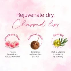 WOW Skin Science New Launch Himalayan Rose Lip Scrub To Exfoliate And Smoothen Chapped & Cracked Lips